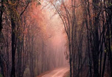 探索天涯隆胸论坛：聊聊大家的隆胸故事