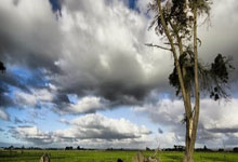 探索泉州天涯论坛的乐趣 - 当地交流的热门天地 (48字)