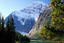 探索海南天涯论坛网址的小秘密，一起来唠叨唠叨这个有趣的地方吧！我记得第一次偶然点进去的时候，就感觉像回家一样亲切。